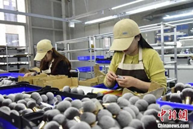 有“两把刷子”！麻将胡了沧州真(图9)
