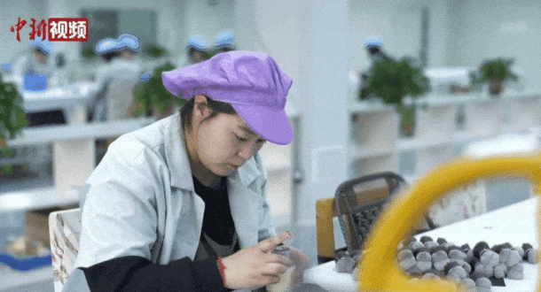有“两把刷子”！麻将胡了沧州真(图6)
