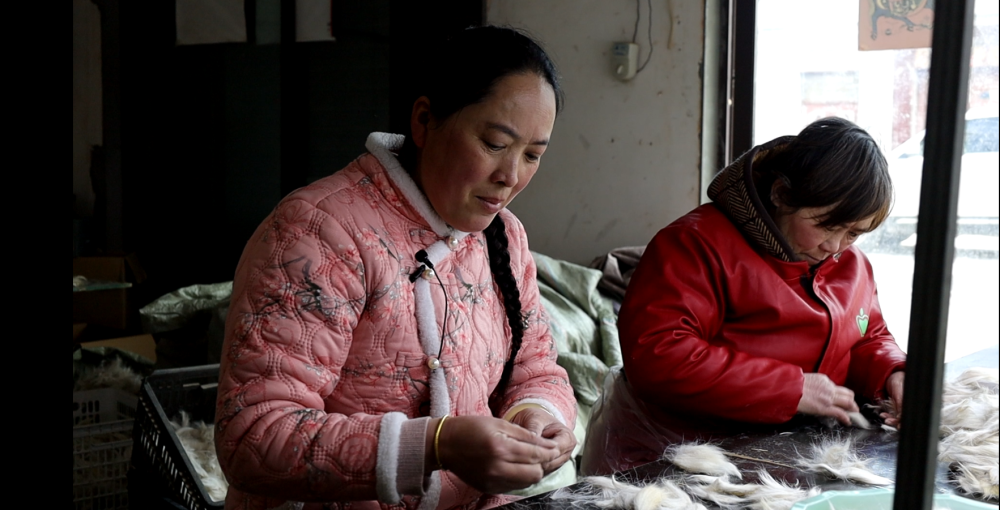 起丨废尾毛变身化妆刷“刷”出超百亿元“美妆产业”PG麻将胡了2试玩中国经济样本观察·“镇”了不(图2)